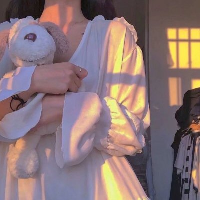 纳瓦尼事件簿